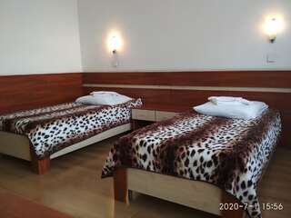 Отель Дружба Ужгород Стандартный двухместный номер с 1 кроватью или 2 отдельными кроватями-1
